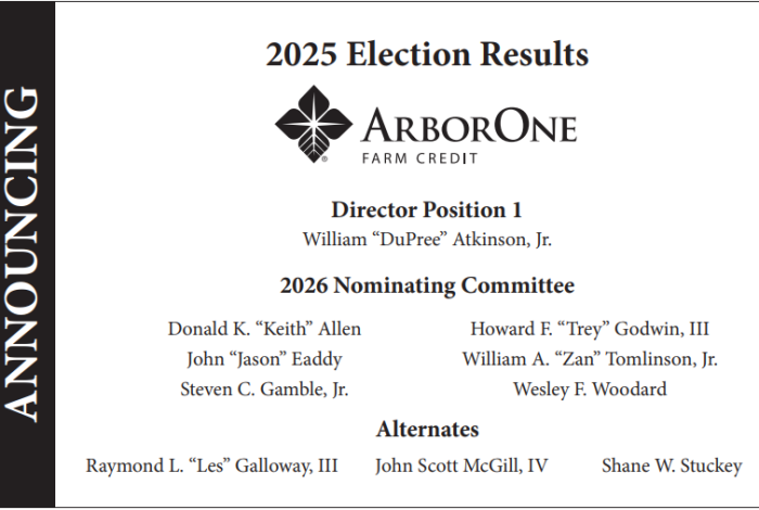 2025 Election Results